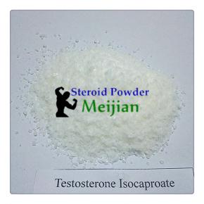 Testosterone Isocaproate